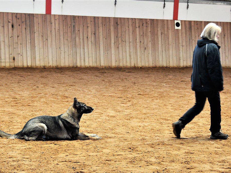 Einzeltraining