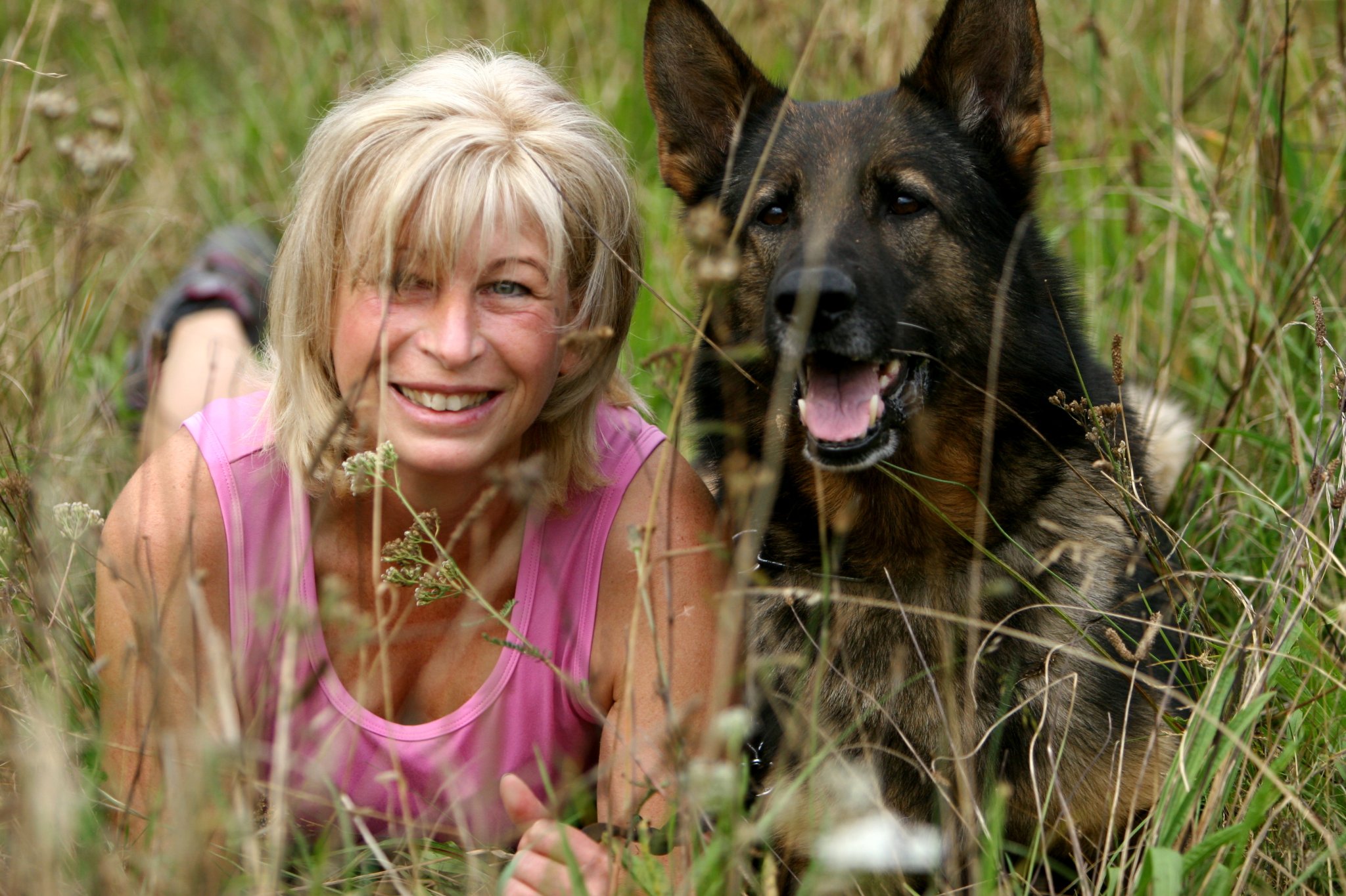 bild hundeschule raute